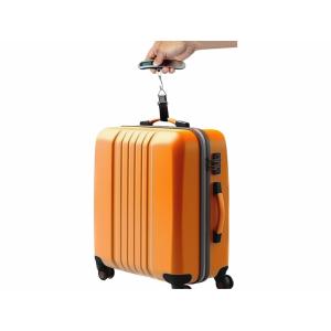 Extol Premium Váha na batožinu digitálna, max. 50kg, ±300g, podsvietený LCD, 8822003