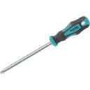 Extol Premium Skrkrutkovač Torx T15x100mm CrV, 8819245